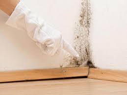 Why You Should Choose Our Mold Remediation Services in Roslyn Estates, NY